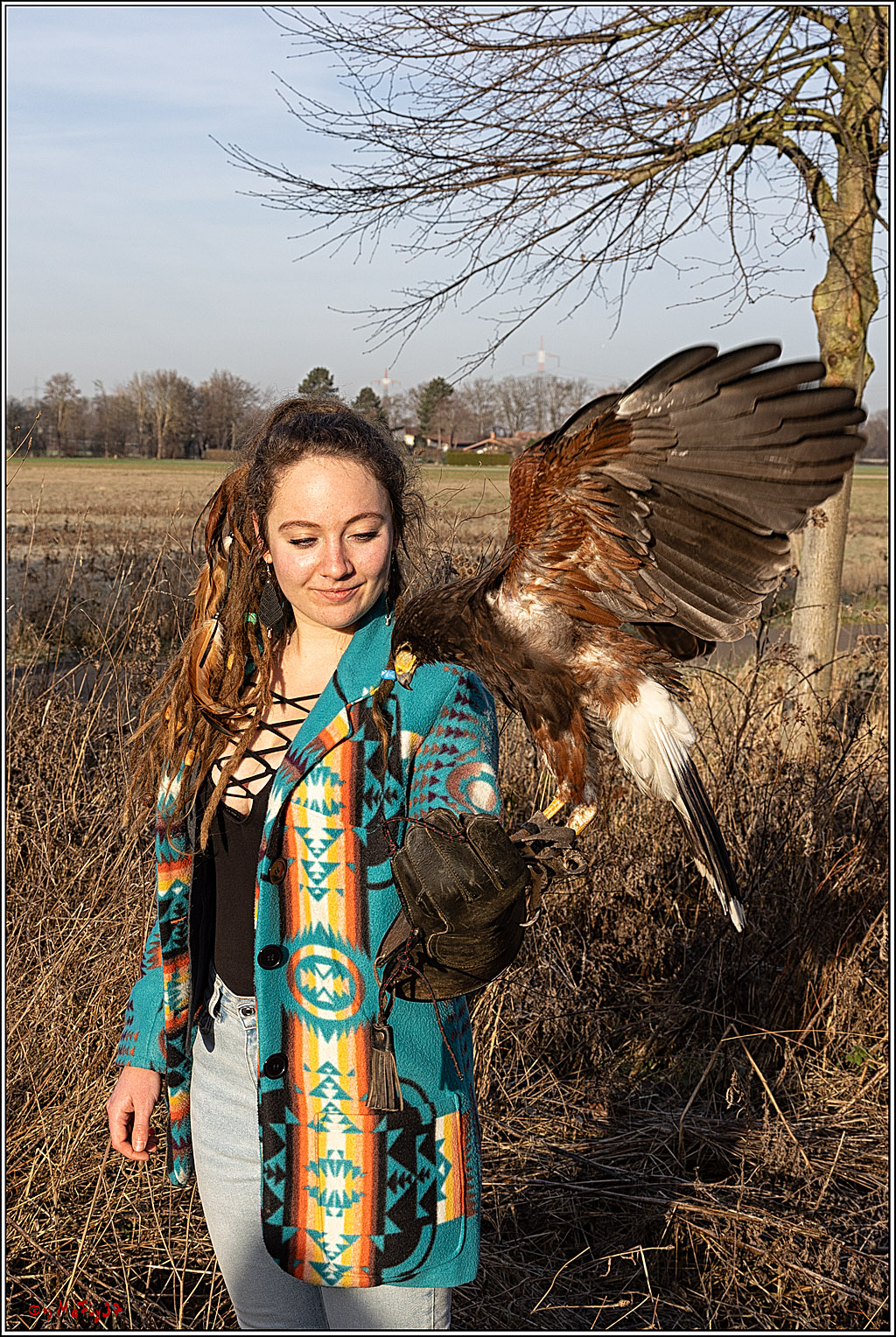 Cheyenne-Halbblut Hunting Wolf in der Falknerei Pierre Schmidt; Gymnich, 09.02.2023